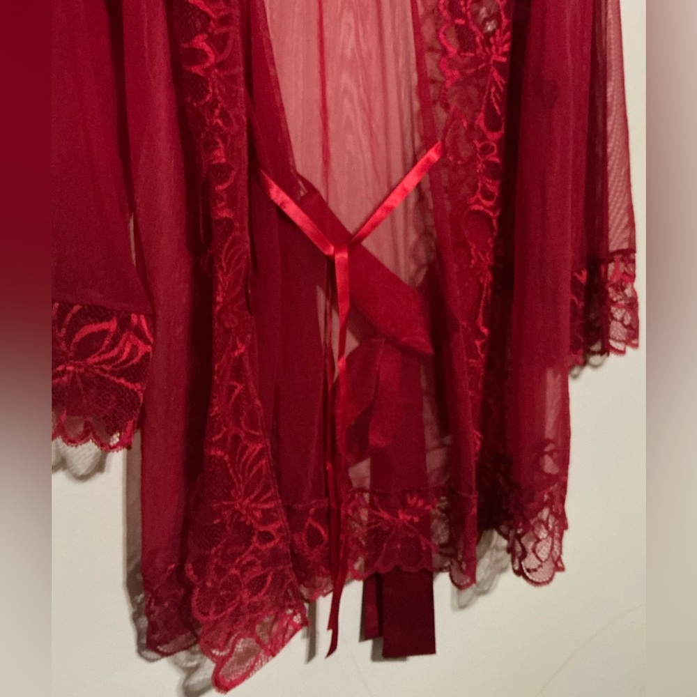 Luxurious Scarlet Lace Robe - Picture 3 of 5
